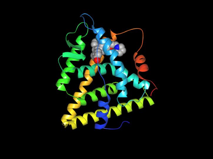 cáncer de próstata letrozol
